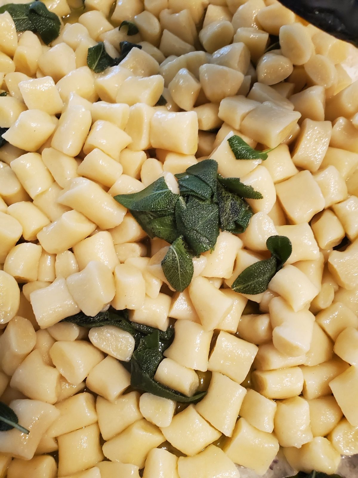 Home-made potato gnocchi with butter and sage