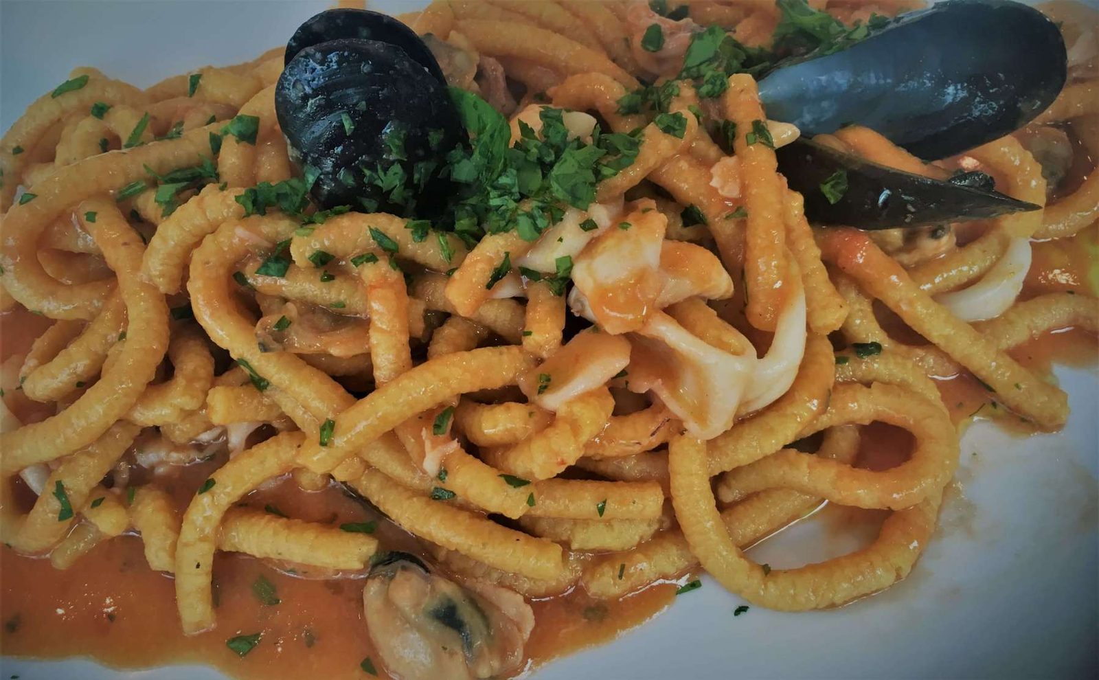 Val's home-made Passatelli pasta with seafood