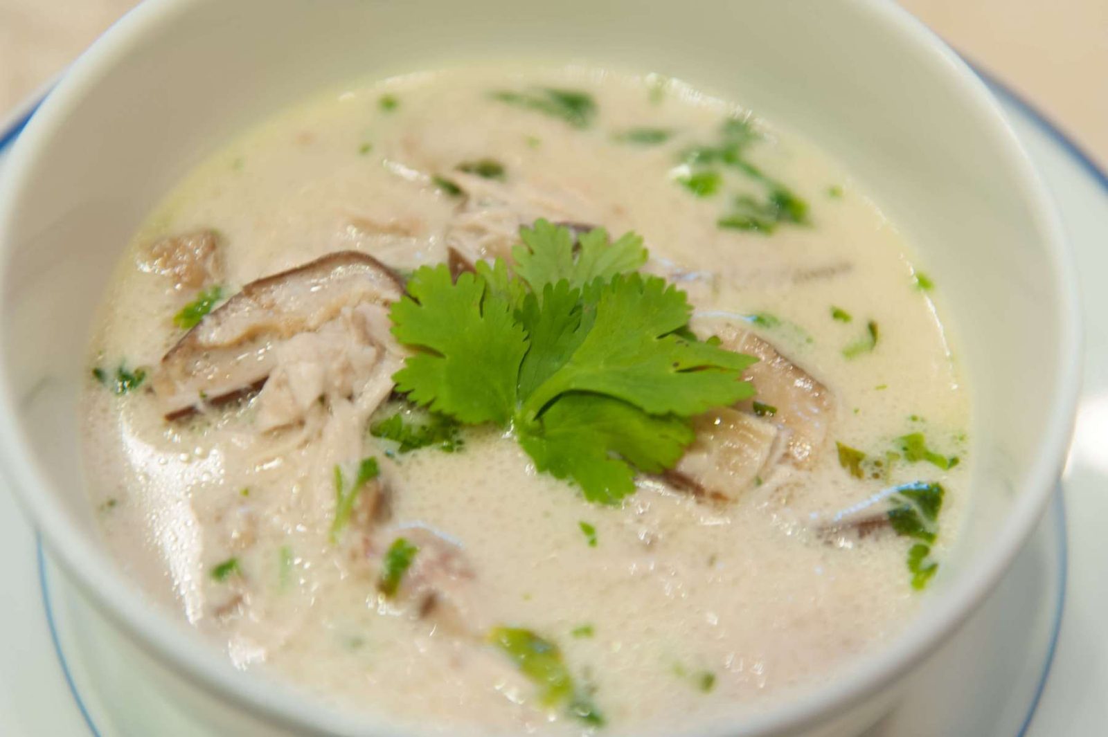 Chicken coconut soup